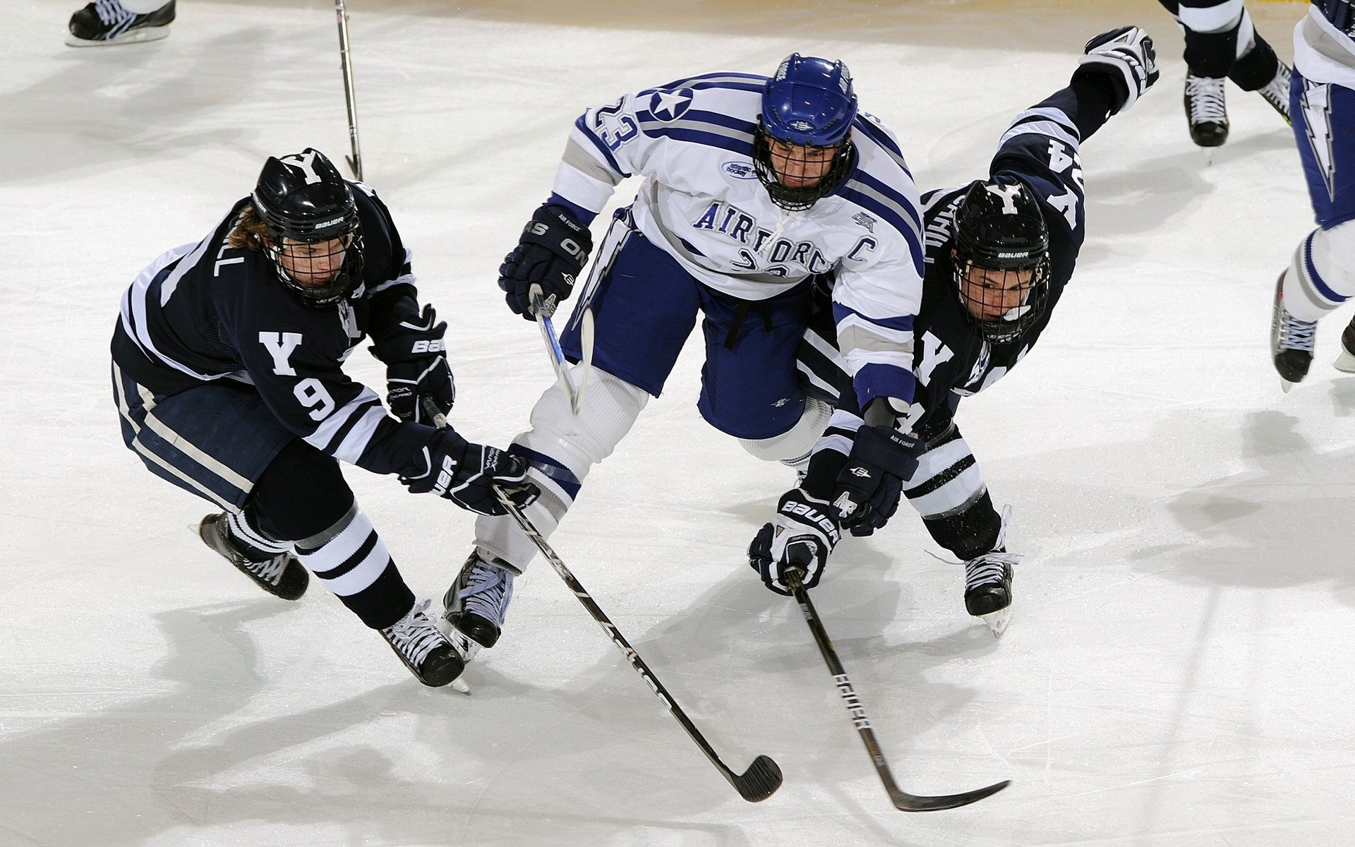 冠军球队球员签名会现场秩序井然粉丝反响热烈，ning冠军签名